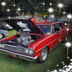 Meet your Posher, Brad